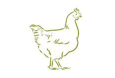 MeatCrisp CHICKEN